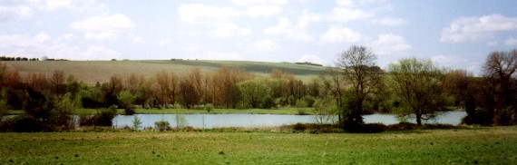 A Wiltshire Landscape